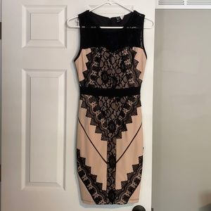 Windsor Black & Blush Lace Detail Sleeveless Dress